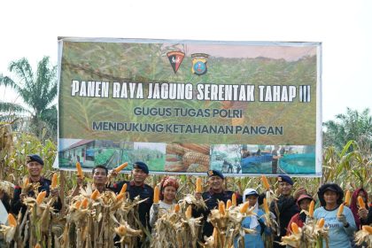 Komandan Satuan Brimob Polda Sumut, Kombes Pol. Rantau Isnur Eka, S.I.K., M.M., M.H., M.Han., bersama para personel Brimob membantu petani memanen hasil bumi.