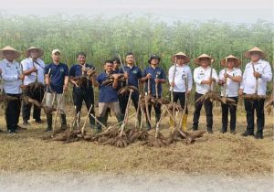 Rumah Tahanan Negara (Rutan) Kelas I Labuhan Deli, Panen Raya Singkong yang digelar di lahan pertanian binaan Rutan Labuhan Deli, berlokasi Selambu Amplas, Kamis (13/11/25).