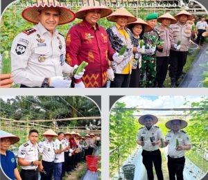 Rumah Tahanan Negara (Rutan) Kelas I Labuhan Deli menggelar Panen Raya di kebun pembinaan Rutan Kelas I Labuhan Deli yang berlokasi di Komplek PLN Paya Pasir.