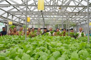 Lembaga Pemasyarakatan (Lapas) Kelas I Medan Panen Raya bersama Dinas Ketahanan Pangan Kota Medan.