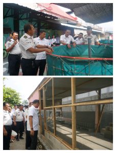 Kepala Lapas Kelas I Medan, Fonika Affandi, melaksanakan kontrol dan monitoring ternak ikan dan ayam di area Sarana Asimilasi dan Edukasi (SAE) bidang Giat Kerja.