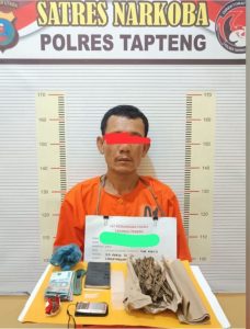 Reserse Narkoba (Satresnarkoba) Polres Tapanuli Tengah (Tapteng) meringkus RTP alias Kongo (48) pengedar ganja dan sabu.