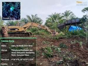 Foto : Lokasi penambangan berada di Perkebunan Patiluban, Kecamatan Natal, Kabupaten Mandailing Natal (Madina), dan diyakini beroperasi secara tertutup dengan pola kerja yang sangat terorganisir. (BM-red).