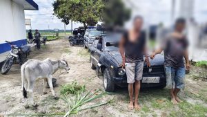 Dua pelaku pencurian anak lembu menggunakan mobil sedan hitam diamankan.