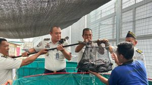 Lembaga Pemasyarakatan Kelas I Medan panen ikan lele sebanyak 250 kilogram dalam program pembinaan kemandirian bidang perikanan.