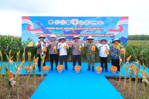 Polda Sumatera Utara mengikuti Panen Raya Jagung Serentak Kuartal II Tahun 2026 yang digelar Polri secara nasional.