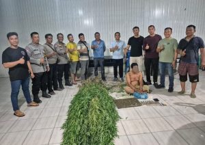 Polsek Tanjung Morawa Polresta Deli Serdang mengungkap kasus dugaan penyalahgunaan narkotika jenis ganja.