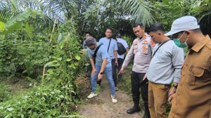 Petugas menemukan 23 bibit tanaman ganja serta 3 batang tanaman ganja berukuran sekitar 50cm-60cm.