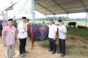 Kapolda Sumut, Irjen Pol Whisnu Hermawan Februanto, memberikan hewan kurban sapi berbobot 1 ton momentum Hari Raya Idul Adha 1447 Hijriah.