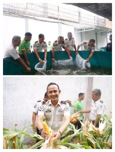Kepala Lapas Kelas I Medan, Fonika menebar benih ikan lele serta panen jagung sebagai bagian dari program pembinaan kemandirian bagi Warga Binaan Pemasyarakatan (WBP).