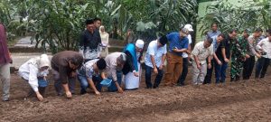 Wakil Ketua Komisi XIII DPR RI, Dr H Sugiat Santoso bersama Wakil Bupati Deli Serdang, Lom Lom Suwondo, Pimpinan Pesantren Al Hidayah, Ustadz Khairul Ghazali dan Kasatgas Densus 88 Anti Teroris, Kombes Pol Kurnia Hadi saat melakukan penanaman bawang merah. (Ist)